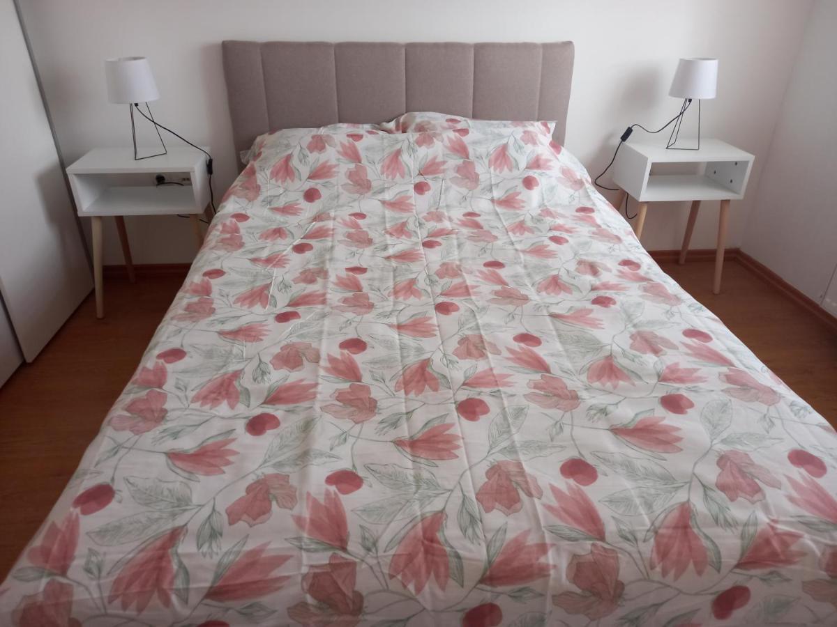 Apartman Marija ปาราชิน ภายนอก รูปภาพ